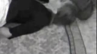 Bootyful blonde porno mature pute aux gros seins chevauche la bite de son amant comme une cow-girl